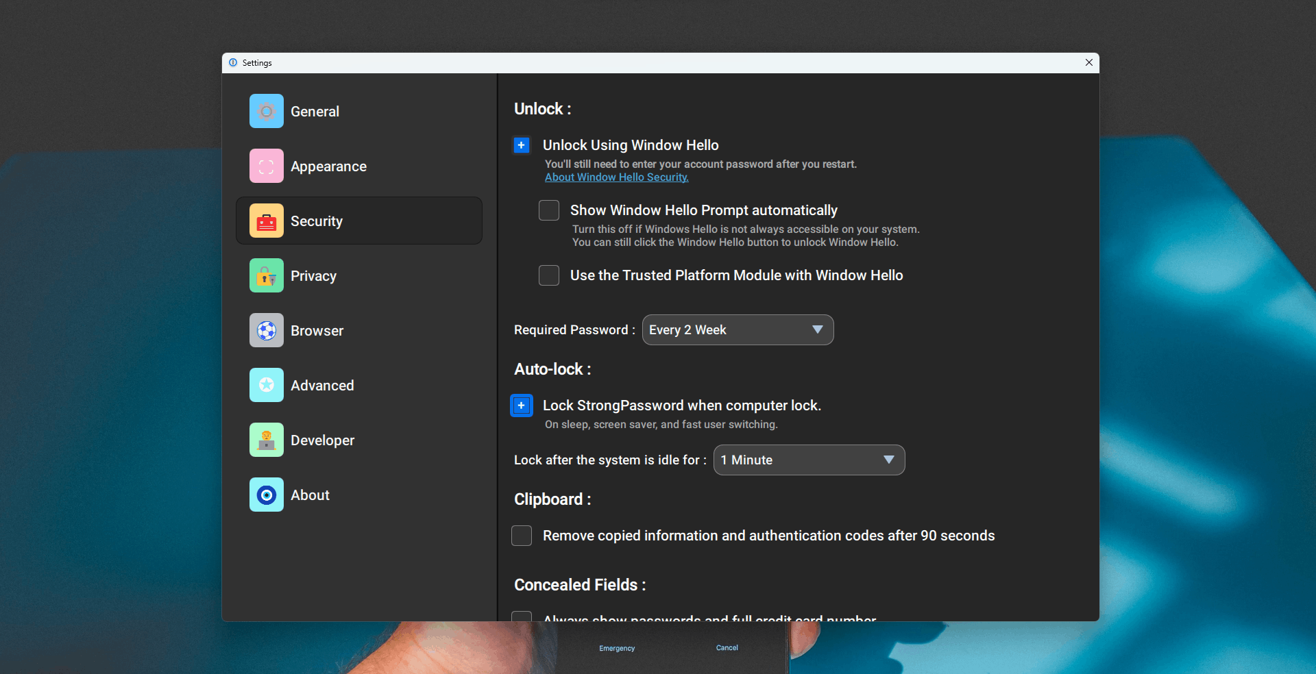 Project Details & Summary Qt/QML interface screenshot